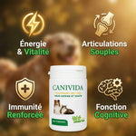 Canivida 200 comprimés anti-âge chien chat avec bénéfices: énergie, articulations, immunité, cognition
