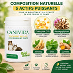 Canivida 200 comprimés anti-âge naturel pour chien et chat avec CoQ10, Harpagophytum et Curcuma