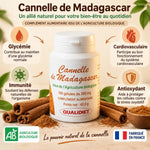 Cannelle de Ceylan Bio 100 gélules Qualidiet avec bénéfices santé glycémie immunité antioxydant