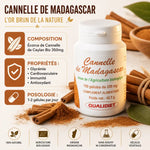 Cannelle de Ceylan Bio Qualidiet 350mg gélules avec bâtons et poudre de cannelle