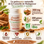 Cannelle de Ceylan Bio 100 gélules Qualidiet - Bouteille avec bénéfices santé et poudre