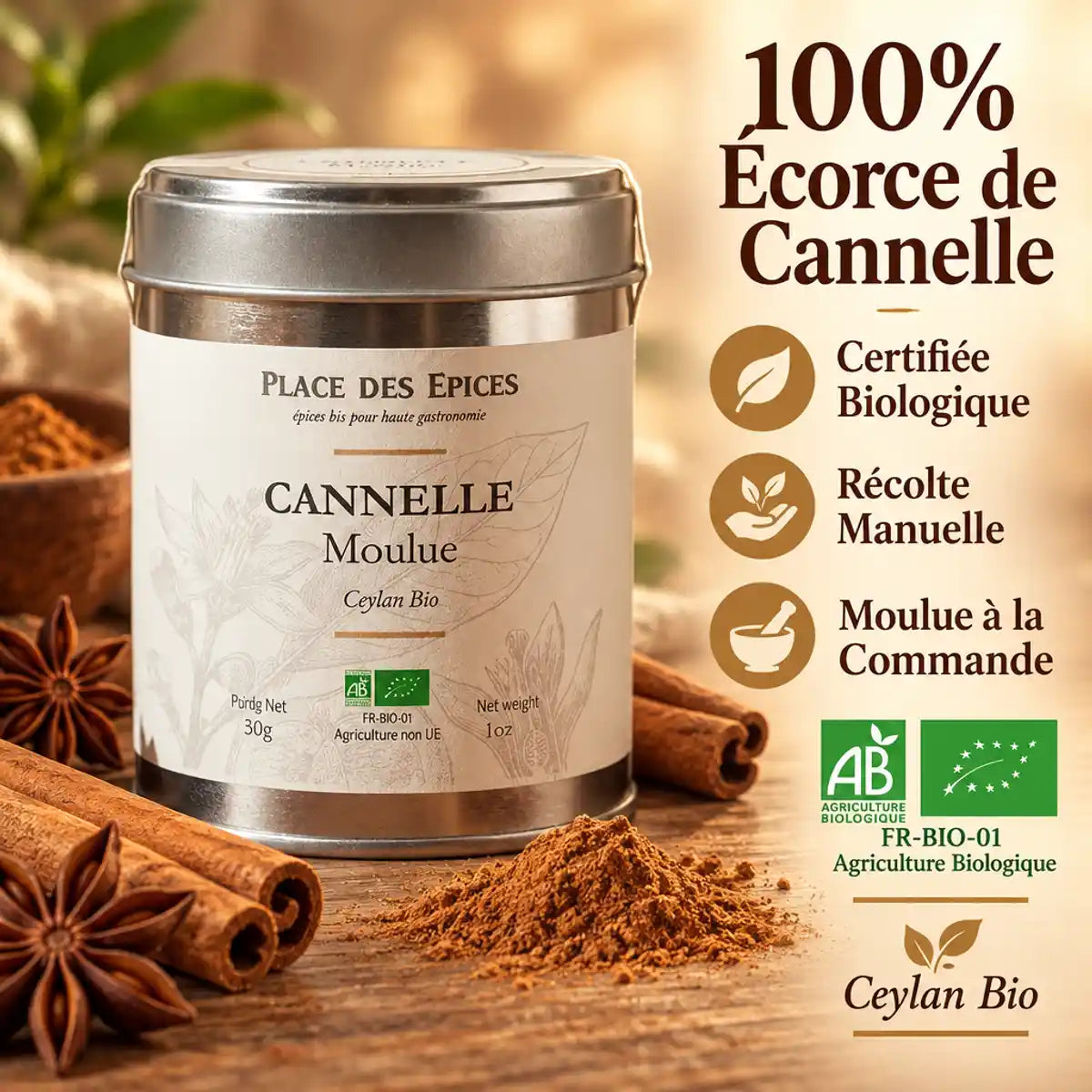 Cannelle moulue bio 50g Place des épices en boîte avec bâtons et certifications