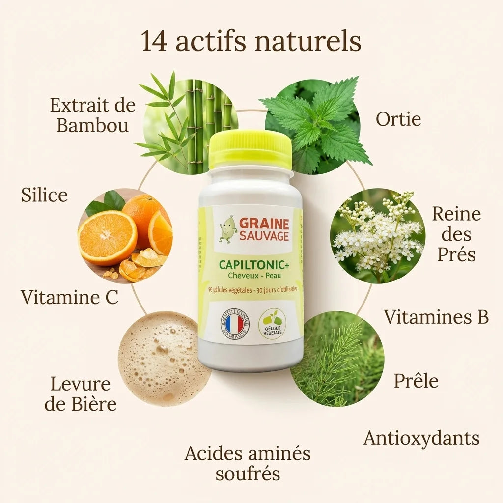 Capiltonic+ 90 gélules Graine Sauvage avec 14 actifs naturels pour cheveux et peau