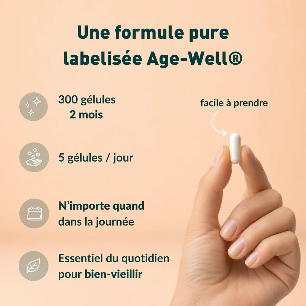 Caractéristiques de la formule créatine Age-Well en gélules de Humble +