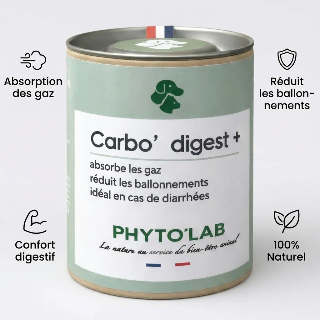 Carbo'digest+ charbon végétal pour chien et chat - gélules Phyto'Lab avec bénéfices digestifs