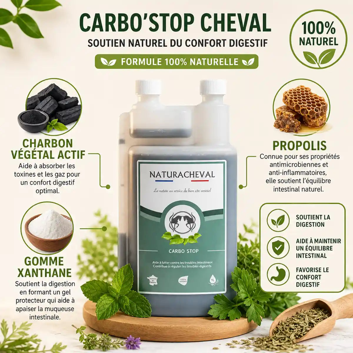 Carbo'Stop Cheval Naturacheval - Bouteille 1L avec ingrédients naturels charbon actif et propolis