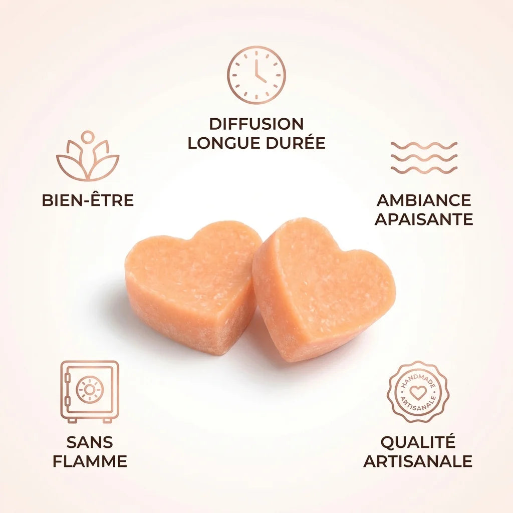 Carré d'Ambre Coral Blush ByBazz 2x25g - Diffusion longue durée sans flamme