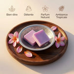 Carrés de Frangipanier HomeBreeze avec pétales roses, packaging luxe bien-être et détente tropicale