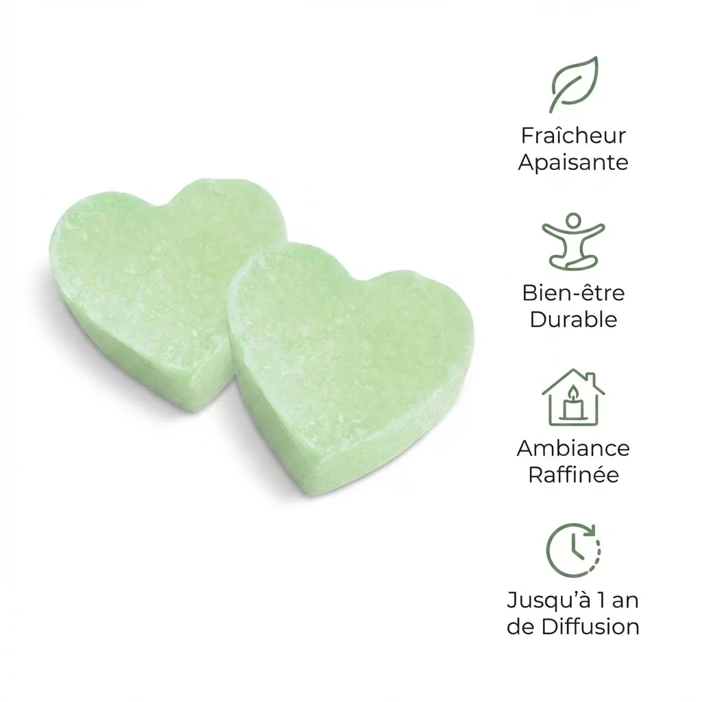 Carrés fondants ambre thé vert ByBazz 2x25g avec bénéfices : fraîcheur apaisante et bien-être durable