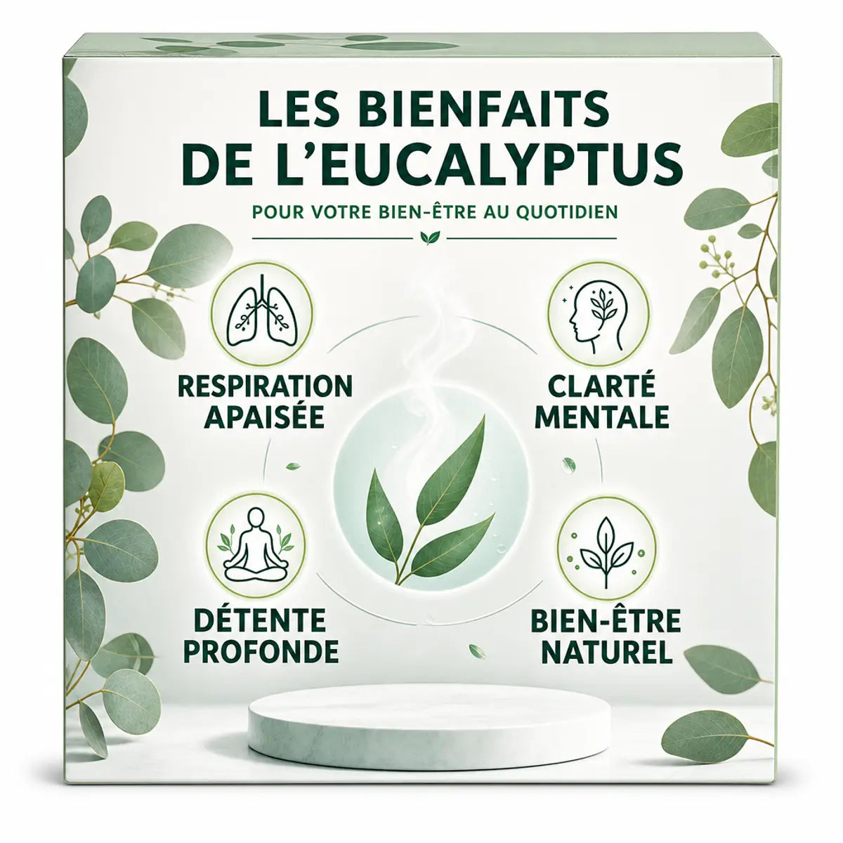 Carrés Fondants Eucalyptus HomeBreeze 2x25g packaging vert et crème