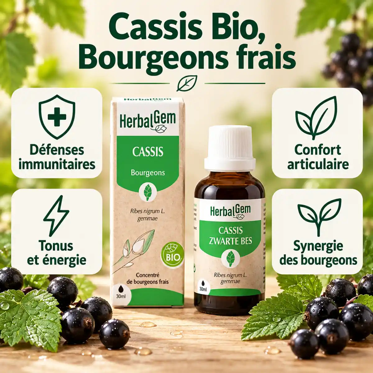 Flacon de sérum Cassis Bio HerbalGem 30 ml entouré de baies de cassis fraîches, feuilles vertes et pictogrammes défenses immunitaires, confort articulaire et tonus