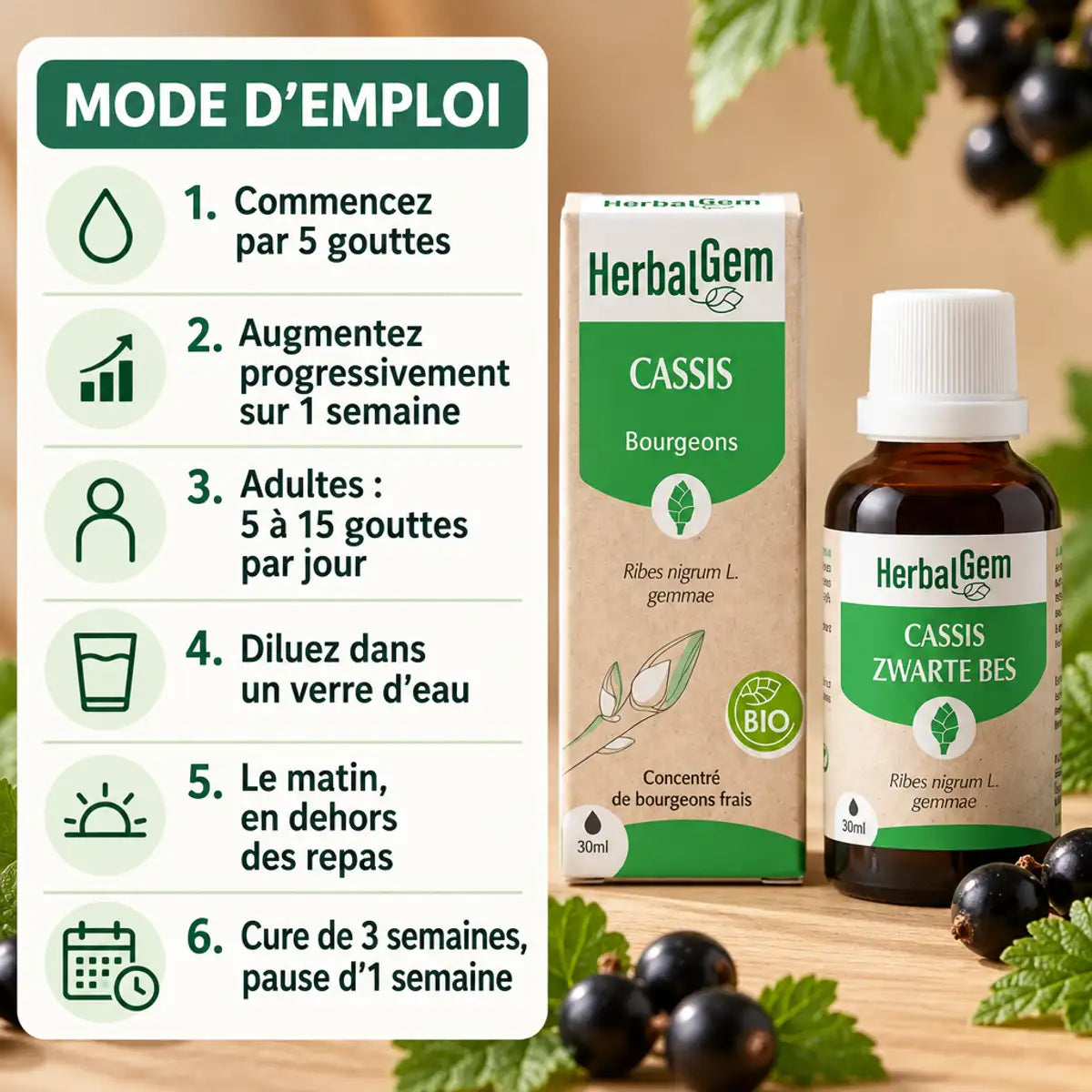Cassis Bio HerbalGem 30 ml défenses immunitaires : flacon et mode d'emploi en 6 étapes, baies de cassis