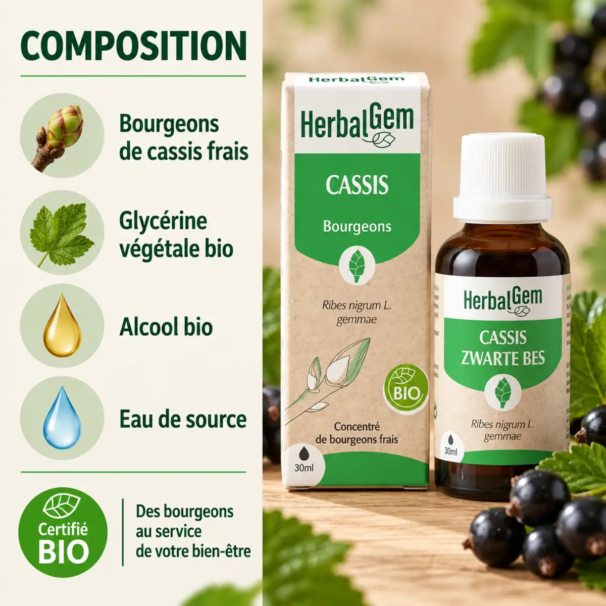 Flacon HerbalGem Cassis Bio 30 ml avec emballage kraft, entouré de branches et de baies de cassis, et infographie de sa composition bio.