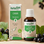 Cassis Bio HerbalGem 30ml flacon avec feuilles et baies de cassis frais