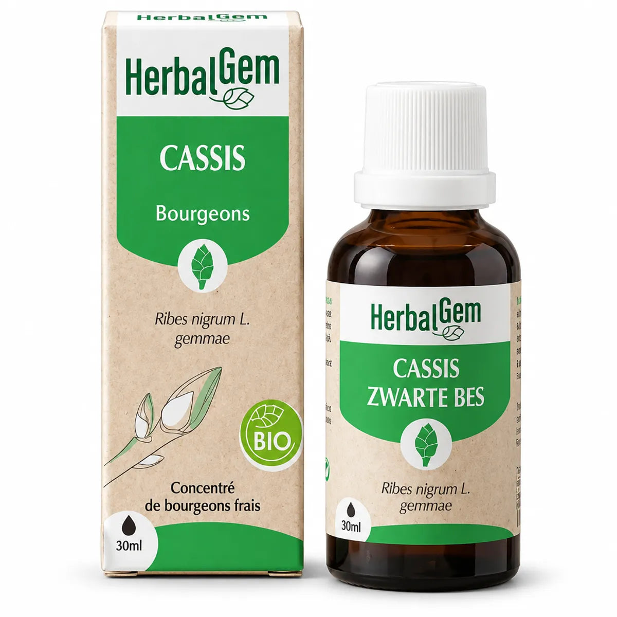 Flacon en verre ambré de HerbalGem Cassis Bio 30 ml avec étiquette verte et boîte en carton kraft, sur fond blanc