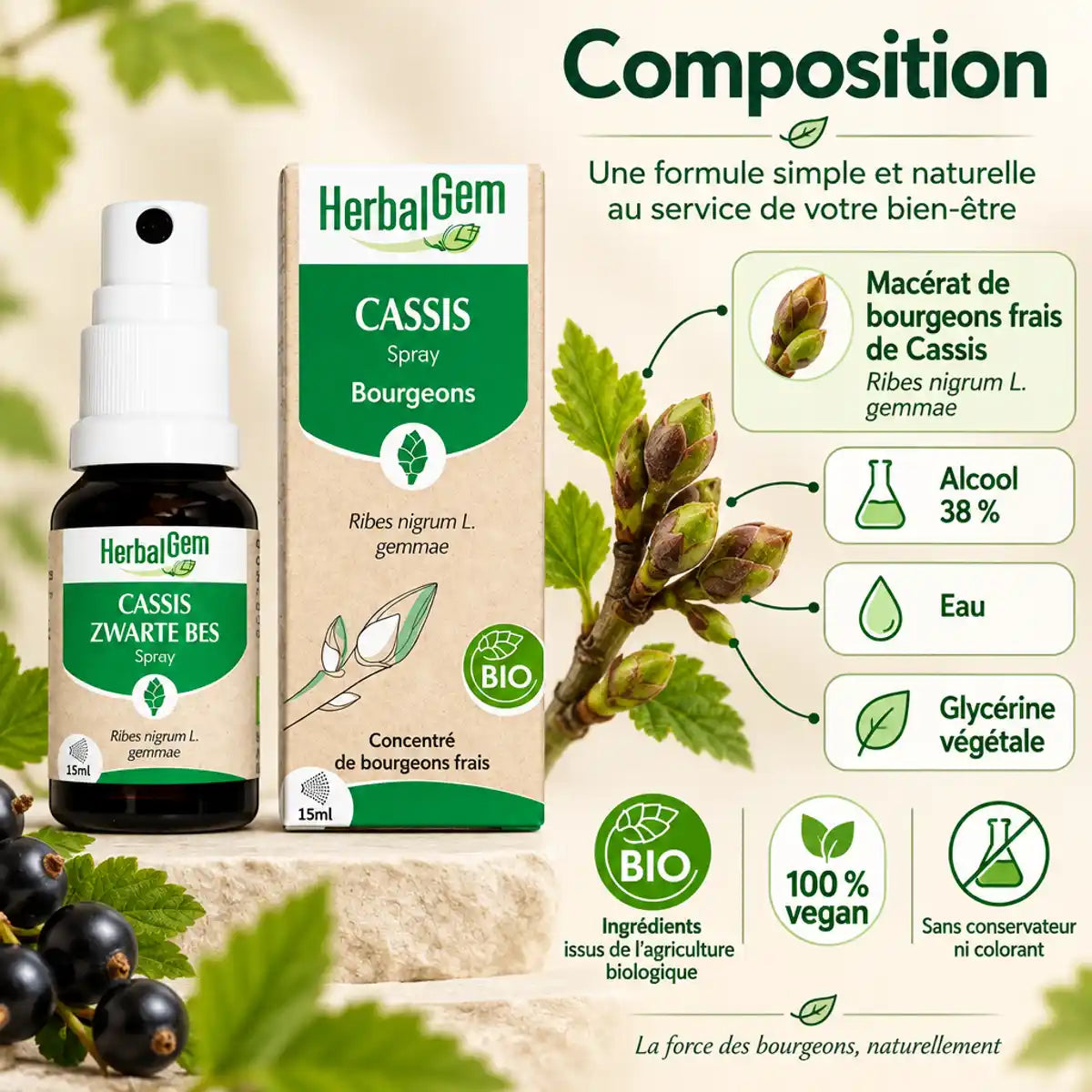 Spray Cassis Bio HerbalGem 15 ml et sa composition : macérat de bourgeons de cassis, alcool, eau, glycérine végétale