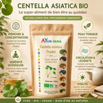 Centella asiatica bio poudre 150g AYur-vana avec infographie bénéfices santé et feuilles fraîches
