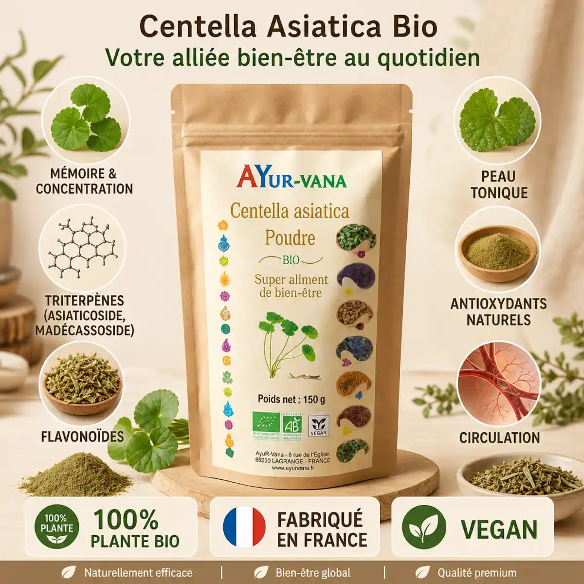Centella asiatica bio en poudre 150g AYur-vana avec ingrédients actifs et bénéfices mémoire circulation peau