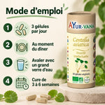 Centella asiatica bio Ayur-Vana en tube, avec mode d'emploi : 3 gélules par jour, cure de 3 à 6 semaines