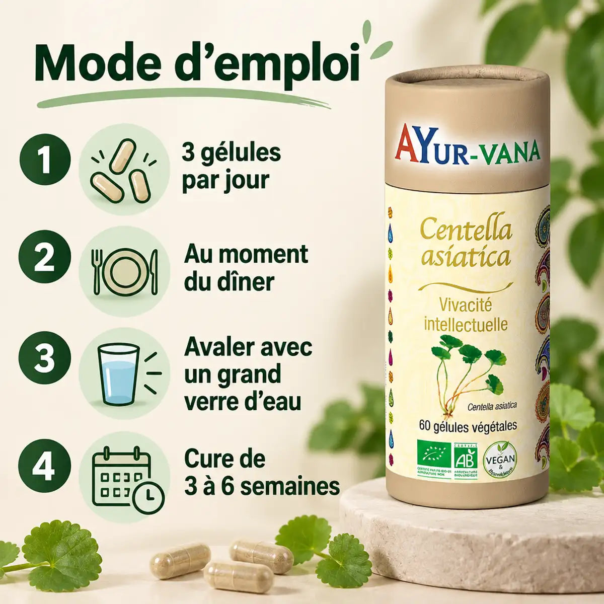 Centella asiatica bio Ayur-Vana en tube, avec mode d'emploi : 3 gélules par jour, cure de 3 à 6 semaines