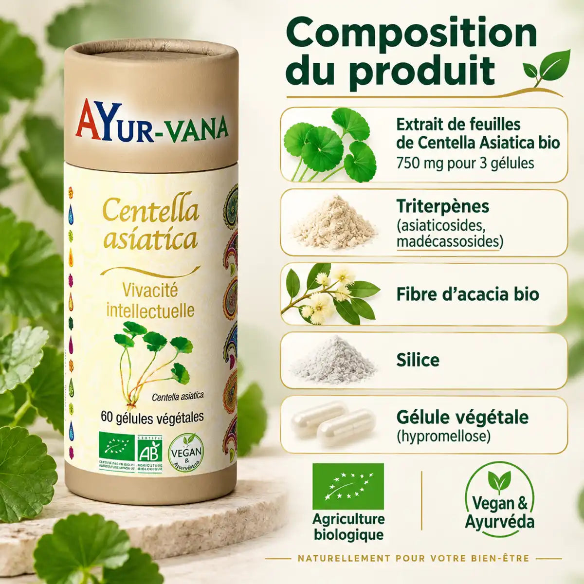 Centella Asiatica bio Ayur-Vana en boîte carton, avec liste des ingrédients : extrait de feuilles, 750 mg pour 3 gélules