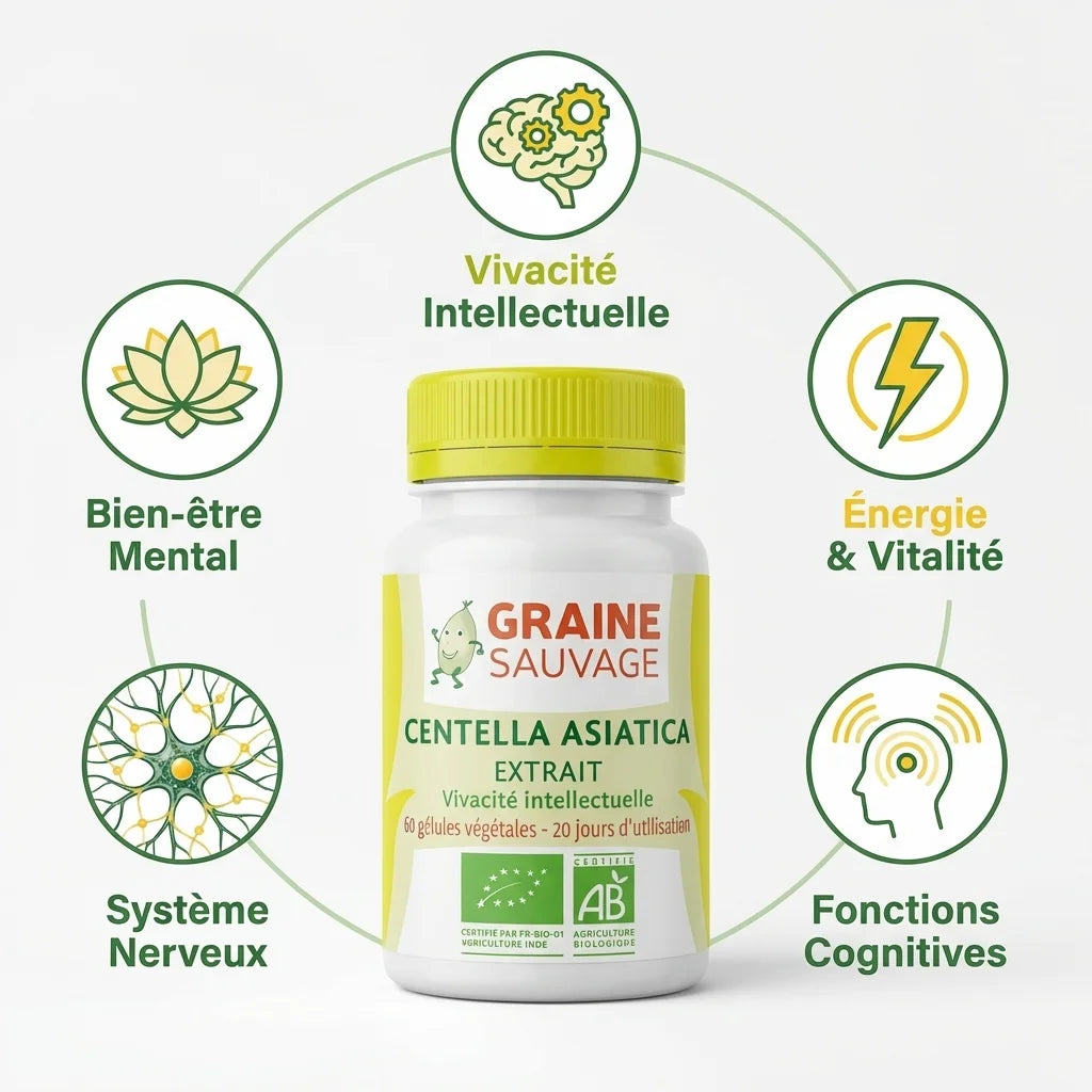 Centella Asiatica Bio 60 gélules avec infographie des bénéfices : vivacité intellectuelle, énergie et fonctions cognitives