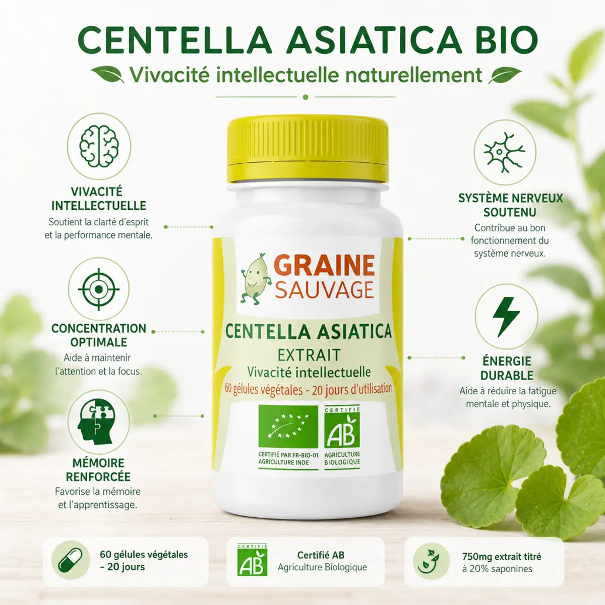 Centella Asiatica Bio 60 gélules Graine sauvage avec infographie des bénéfices pour la vivacité intellectuelle et concentration