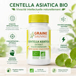 Centella Asiatica Bio 60 gélules Graine sauvage avec infographie des bénéfices pour la vivacité intellectuelle et concentration