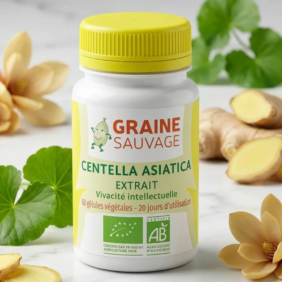 Centella Asiatica Bio Graine Sauvage 60 gélules avec feuilles fraîches et ingrédients naturels