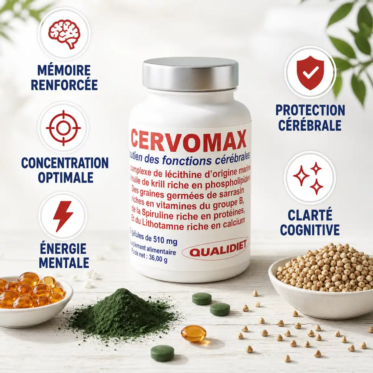 Cervomax 510mg complément mémoire et concentration - Flacon 60 gélules Qualidiet avec ingrédients naturels