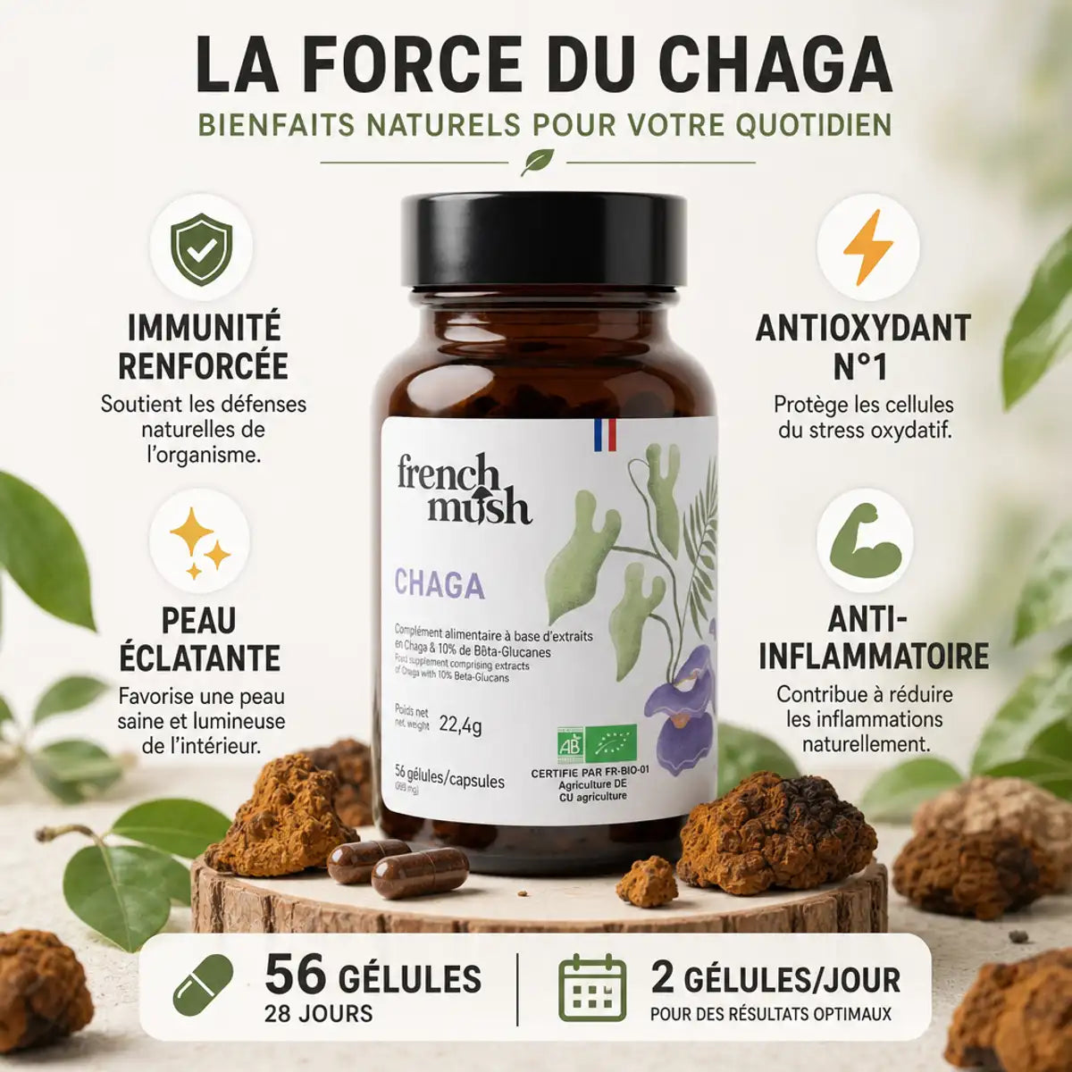 Chaga French Mush 56 gélules - Flacon avec bénéfices immunité, antioxydant et anti-inflammatoire