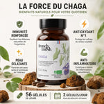 Chaga French Mush 56 gélules - Flacon avec bénéfices immunité, antioxydant et anti-inflammatoire