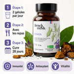 Chaga French Mush 56 gélules avec guide d'utilisation et bénéfices immunité antioxydant