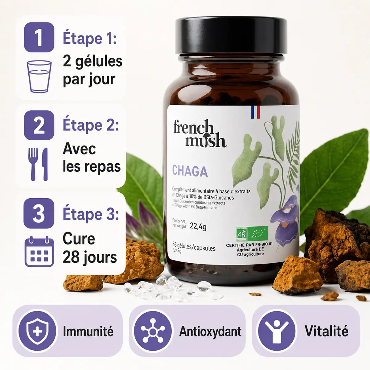 Chaga French Mush 56 gélules avec guide d'utilisation et bénéfices immunité antioxydant