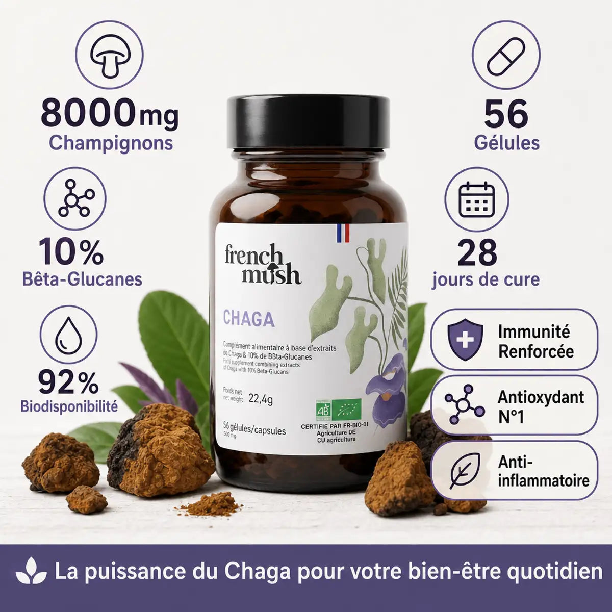 Chaga French Mush 56 gélules - flacon ambré avec champignon chaga, antioxydant et immunité renforcée