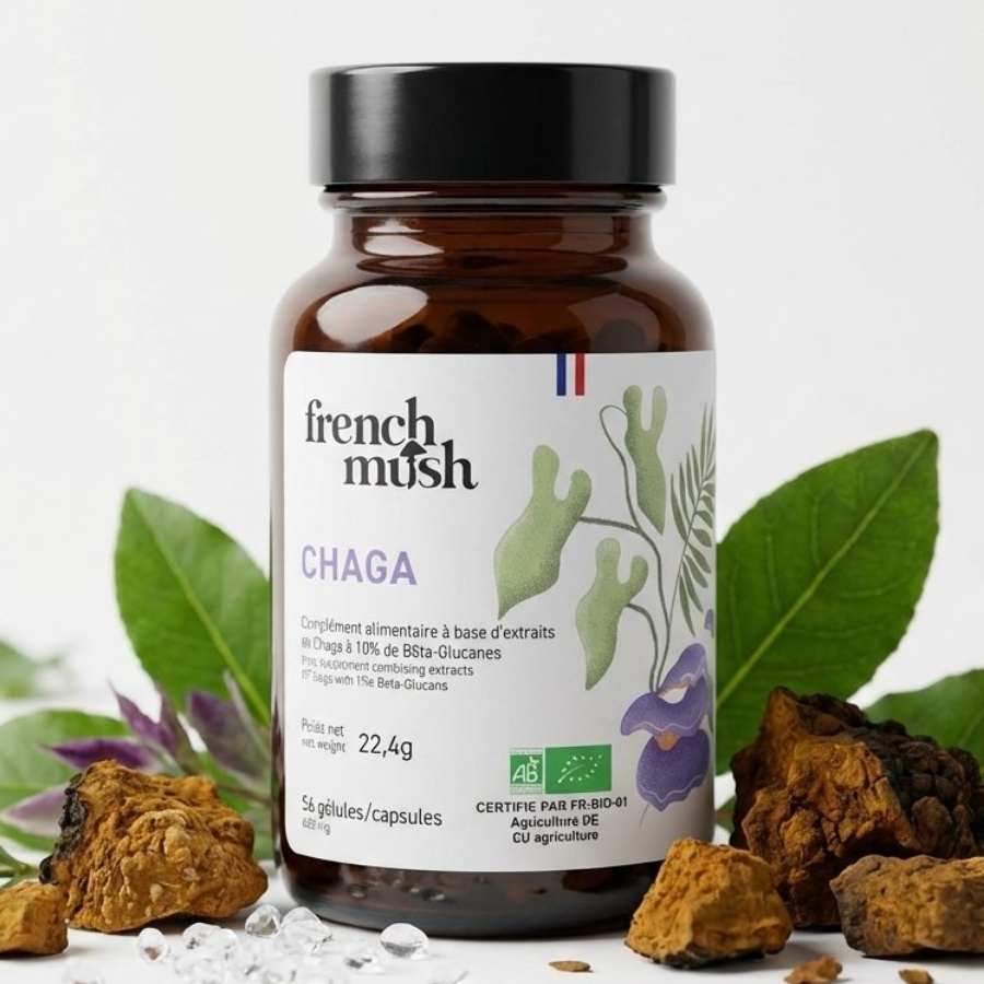 Une boite de 56 gélules de Chaga de la marque French mush