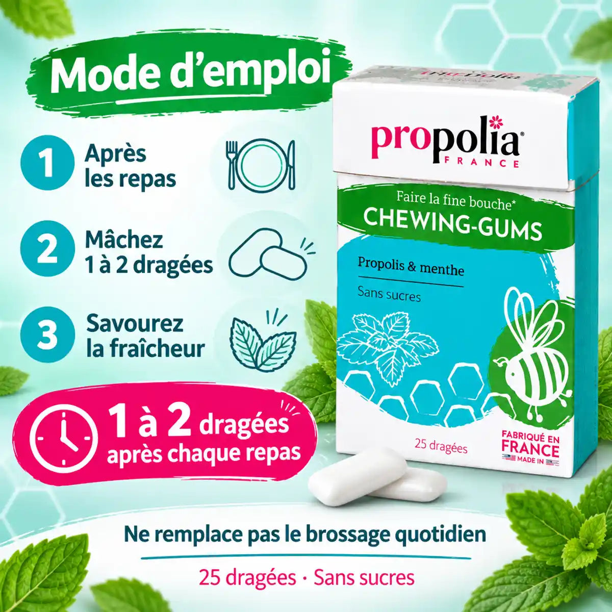 Boîte de chewing-gum sans sucre propolis menthe Propolia : mode d'emploi, 1 à 2 dragées après chaque repas