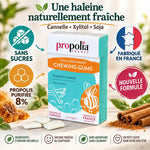 Chewing-gums Propolia sans sucres à la propolis et cannelle, 25 dragées, fabriqué en France