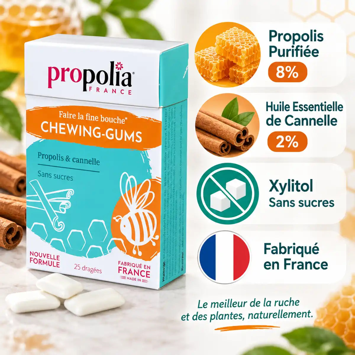 Chewing-gums sans sucre Propolis Cannelle Propolia - Composition infographie avec ingrédients