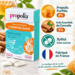 Chewing-gums sans sucre Propolis Cannelle Propolia - Composition infographie avec ingrédients