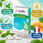 Propolia chewing-gums sans sucres propolis menthe 25 dragées avec bénéfices naturels et fabrication française