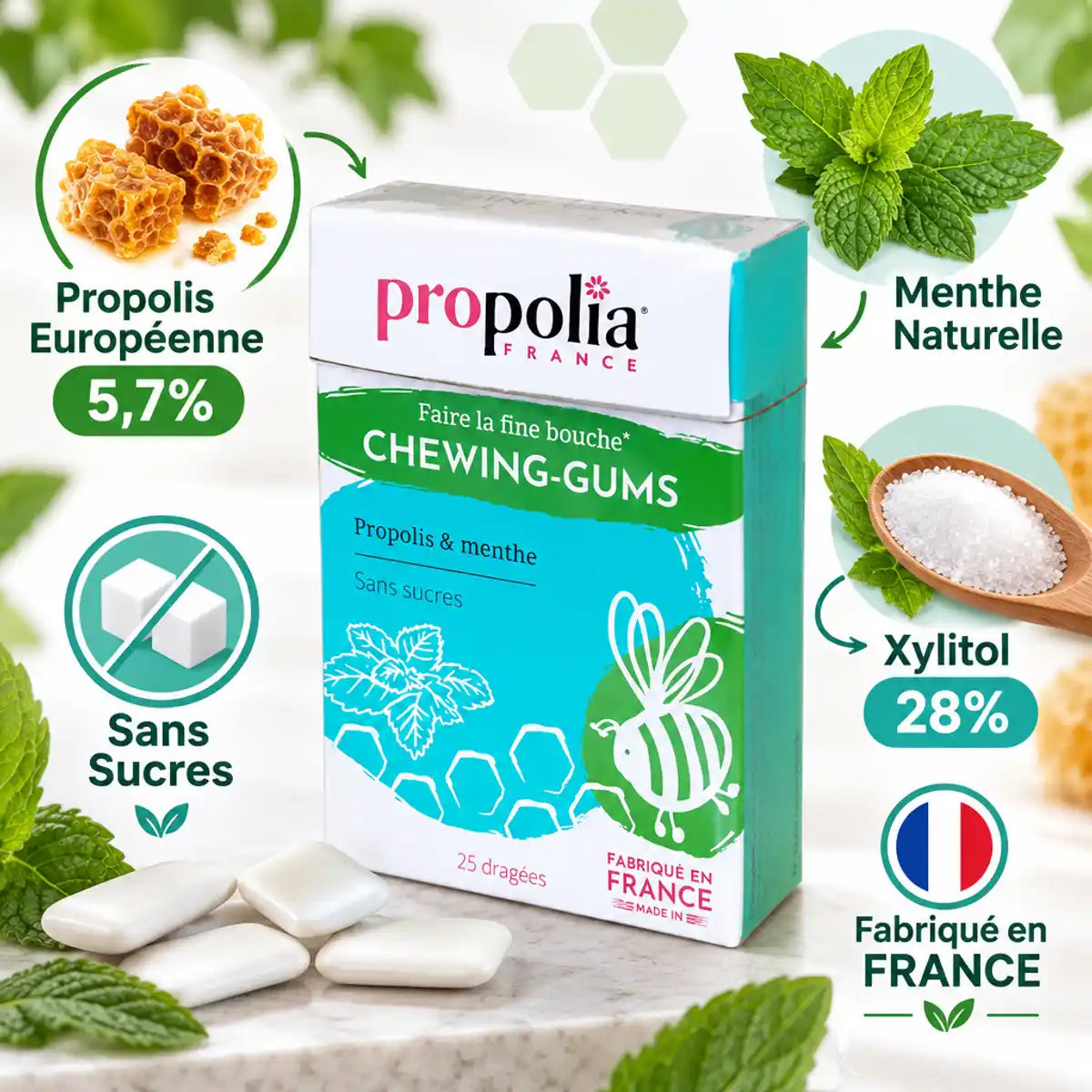 Chewing-gums sans sucre Propolia à la menthe et propolis européenne - 25 dragées