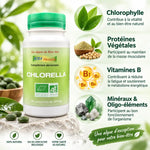 Chlorella bio Aosa Véritable - Flacon 90 comprimés avec infographie des nutriments: chlorophylle, protéines, vitamines B
