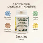 Chrysantellum Americanum 100 gélules Neodiet circulation veineuse jambes légères protection hépatique