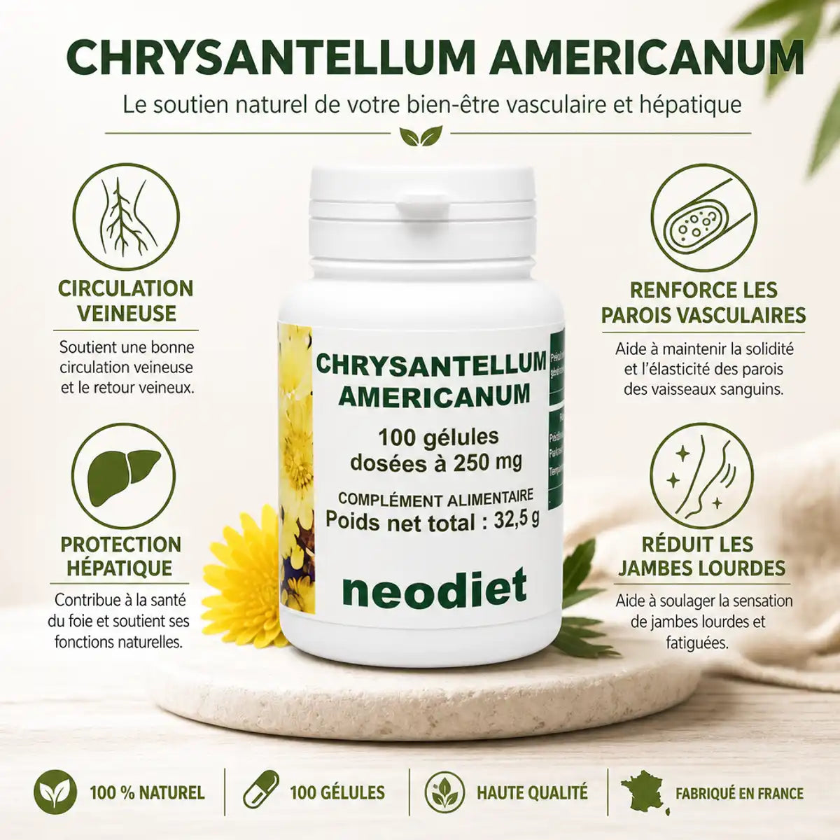 Chrysantellum Americanum Neodiet 100 gélules avec bénéfices circulation veineuse et protection hépatique