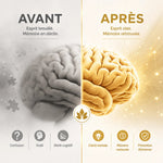 Comparaison avant-après cerveau : confusion vs clarté mentale et mémoire restaurée pour prévention Alzheimer