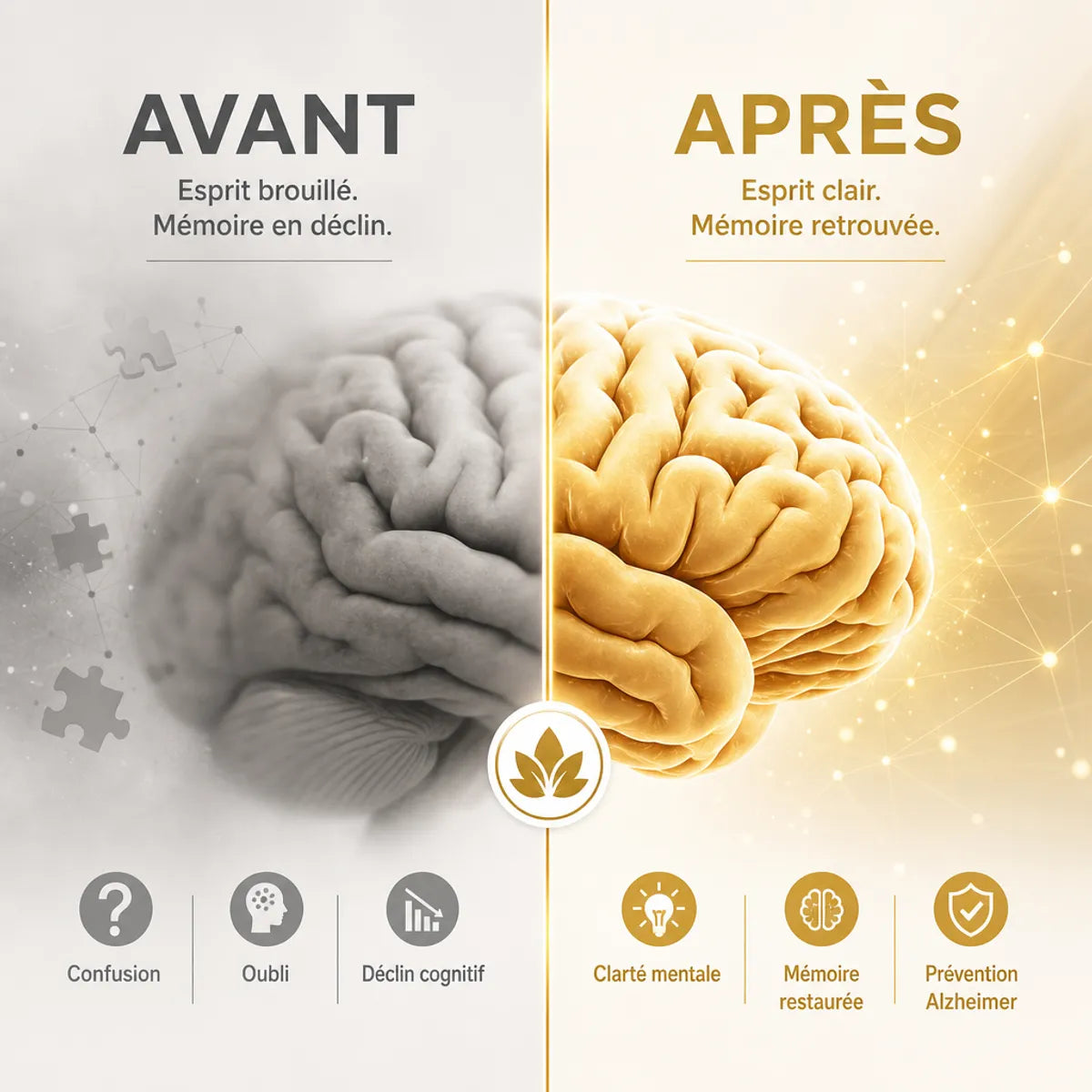 Comparaison avant-après cerveau : confusion vs clarté mentale et mémoire restaurée pour prévention Alzheimer