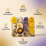 Coffret 4 sauges immortelles Veegreen - Purification et bien-être naturel