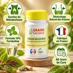 Coleus Forskohlii 60 gélules Graine Sauvage avec bénéfices métabolisme et déstockage graisses