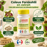 Coleus Forskohlii extrait 60 gélules Graine Sauvage avec ingrédients et certifications Fabriqué France